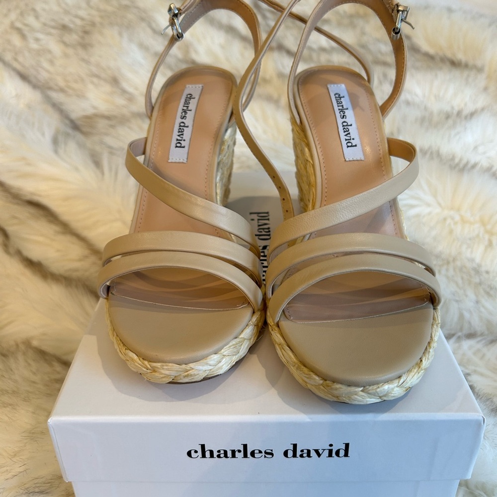 Charles David Sandles